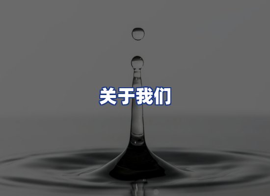 专业团队